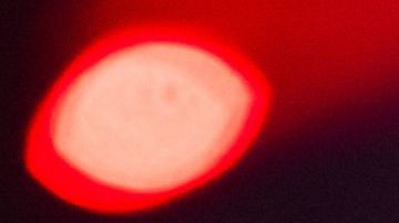 BROOKLYN, NEW YORK - OCTOBER 15: Adriana Lima walks the runway during the Victoria's Secret Fashion Show 2024 at Duggal Greenhouse on October 15, 2024 in Brooklyn, New York. (Photo by TheStewartofNY/FilmMagic)