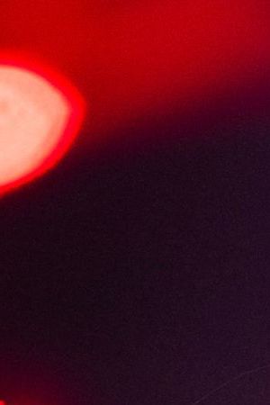 BROOKLYN, NEW YORK - OCTOBER 15: Adriana Lima walks the runway during the Victoria's Secret Fashion Show 2024 at Duggal Greenhouse on October 15, 2024 in Brooklyn, New York. (Photo by TheStewartofNY/FilmMagic)