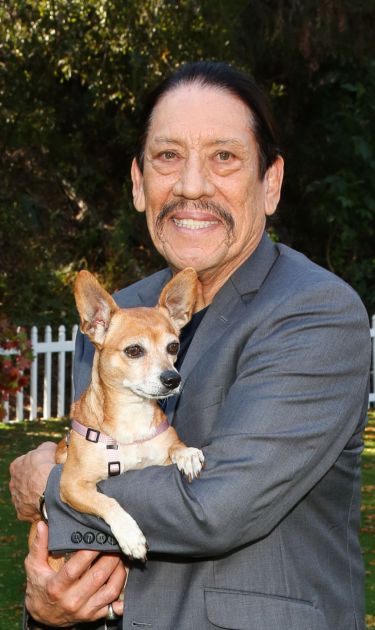 UNIVERSAL CITY, CALIFORNIA - SEPTEMBER 29: Actor Danny Trejo poses with a rescue dog on the set of Hallmark Channel's "Home & Family" at Universal Studios Hollywood on September 29, 2020 in Universal City, California. (Photo by Paul Archuleta/Getty Images)