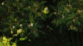 Monsters The Lyle And Erik Menendez Story. (L to R) Cooper Koch as Erik Menendez, Nicholas Chavez as Lyle Menendez in episode 204 of Monsters: The Lyle And Erik Menendez Story. Cr. Courtesy Of Netflix © 2024