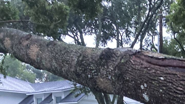 ORLANDO, FLORIDA, UNITED STATES - OCTOBER 10: A tree lies over a street after Hurricane Milton passed through on October 10, 2024 in Orlando, Florida. The storm made landfall on Wednesday night on Florida's Gulf coast as a Category 3 hurricane before traveling across Central Florida, causing massive destruction and leaving 3 million Floridians without power. (Photo by Paul Hennessy/Anadolu via Getty Images)