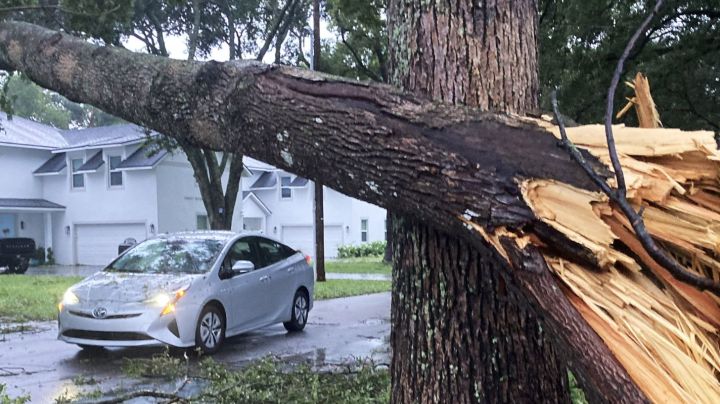 ORLANDO, FLORIDA, UNITED STATES - OCTOBER 10: A tree lies over a street after Hurricane Milton passed through on October 10, 2024 in Orlando, Florida. The storm made landfall on Wednesday night on Florida's Gulf coast as a Category 3 hurricane before traveling across Central Florida, causing massive destruction and leaving 3 million Floridians without power. (Photo by Paul Hennessy/Anadolu via Getty Images)