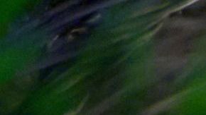 Love Is Blind. (L to R) Nick Dorka, Hannah Jiles in episode 706 of Love Is Blind. Cr. Courtesy of Netflix © 2024