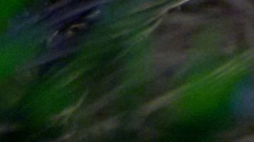 Love Is Blind. (L to R) Nick Dorka, Hannah Jiles in episode 706 of Love Is Blind. Cr. Courtesy of Netflix © 2024