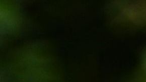 LONDON, ENGLAND - AUGUST 30: Jenna Ortega attends the London photocall of "Beetlejuice Beetlejuice" at One Marylebone on August 30, 2024 in London, England. (Photo by Kate Green/Getty Images for Warner Bros. Pictures)