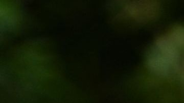 LONDON, ENGLAND - AUGUST 30: Jenna Ortega attends the London photocall of "Beetlejuice Beetlejuice" at One Marylebone on August 30, 2024 in London, England. (Photo by Kate Green/Getty Images for Warner Bros. Pictures)