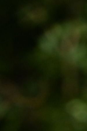 LONDON, ENGLAND - AUGUST 30: Jenna Ortega attends the London photocall of "Beetlejuice Beetlejuice" at One Marylebone on August 30, 2024 in London, England. (Photo by Kate Green/Getty Images for Warner Bros. Pictures)