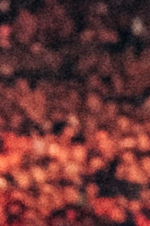 Karol G_Rock In Rio_Global Stage