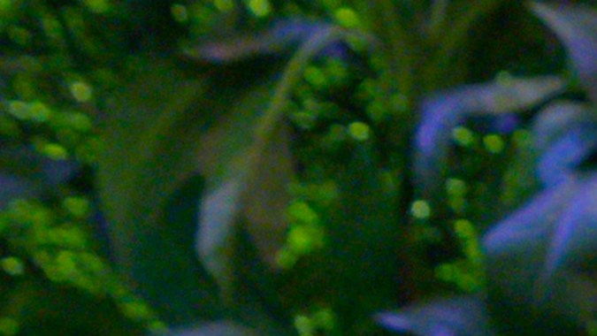 Love Is Blind. (L to R) Nick Dorka, Hannah Jiles in episode 705 of Love Is Blind. Cr. Courtesy of Netflix © 2024