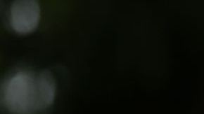 INZAI, JAPAN - OCTOBER 27: Nico Echavarria of Colombia hits his tee shot on the 17th hole during the final round of the Zozo Championship 2024 at Accordia Golf Narashino Country Club on October 27, 2024 in Inzai, Chiba, Japan. (Photo by Lintao Zhang/Getty Images)