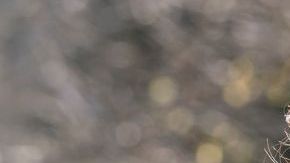 Nobody Wants This (L to R) Adam Brody as Noah, Kristen Bell as Joanne in episode 110 of Nobody Wants This. Cr. © 2024