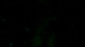 Sevdaliza_Karol G_‘No Me Cansare’