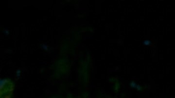 Sevdaliza_Karol G_‘No Me Cansare’