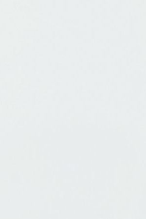 Willy Chavarria at the 2024 CFDA Fashion Awards held at the American Museum of Natural History on October 28, 2024 in New York, New York. (Photo by Kristina Bumphrey/WWD via Getty Images)