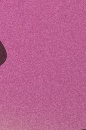 Maná-Karol G_Halftime Show