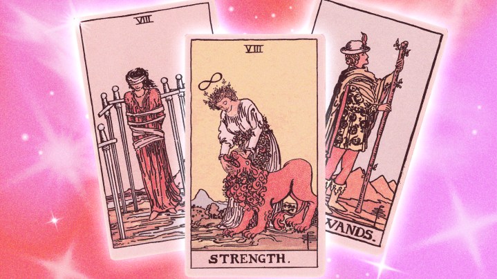 November tarot card reading