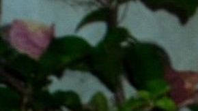 Juliana Aidén Martinez