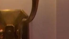 Marcello Hernández as Domingo