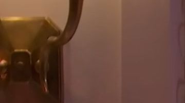 Marcello Hernández as Domingo