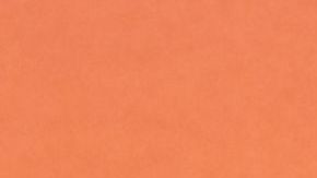 Marcello Hernandez at the Variety Power of Young Hollywood Event at the Santa Monica Proper Hotel on August 8, 2024 in Santa Monica, California. (Photo by Michael Buckner/Variety via Getty Images)