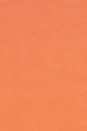 Marcello Hernandez at the Variety Power of Young Hollywood Event at the Santa Monica Proper Hotel on August 8, 2024 in Santa Monica, California. (Photo by Michael Buckner/Variety via Getty Images)