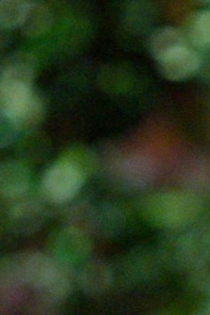 Love Is Blind. Marissa George in episode 713 of Love Is Blind. Cr. Courtesy of Netflix © 2024