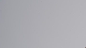 Courtesy of Shark Beauty.