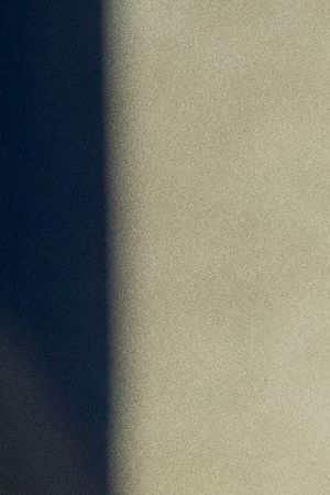 Selena Gomez in Emilia Perez