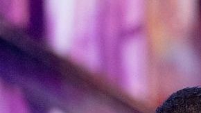 DANCING WITH THE STARS – “Finale” – Once again, the finale episode will have five couples competing for a chance at winning the coveted Len Goodman Mirrorball Trophy. The finalists will each perform a redemption dance assigned by our judges, plus an unforgettable freestyle routine. TUESDAY, NOV. 26 (8:00-11:00 p.m. EST) on ABC. (Disney/Eric McCandless) ALFONSO RIBEIRO, XOCHITL GOMEZ, VAL CHMERKOVSKIY