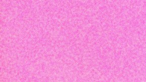 Decemeber tarot reading