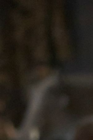 Harvey Guillén in What We Do in the Shadows season 6