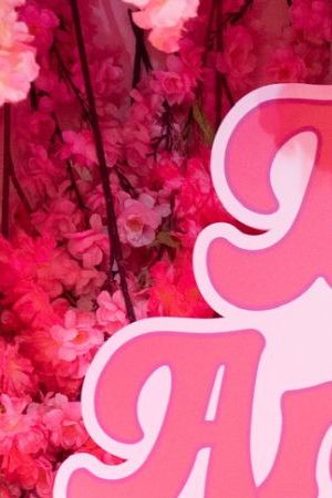 Courtesy of The Bonita Project