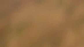 Ariana Grande in Wicked