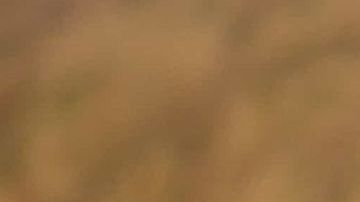 Ariana Grande in Wicked