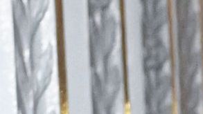 Colman Domingo at the 2024 LACMA Art+Film Gala at the Los Angeles County Museum of Art on November 2, 2024 in Los Angeles, California. (Photo by Gilbert Flores/Variety via Getty Images)