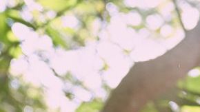 Cien Años de Soledad S1. Marco Antonio González as José Arcadio Buendía in Cien Años de Soledad S1. Cr. Mauro González /Netflix ©2024