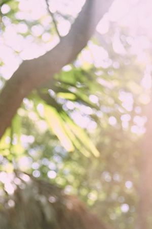 Cien Años de Soledad S1. Marco Antonio González as José Arcadio Buendía in Cien Años de Soledad S1. Cr. Mauro González /Netflix ©2024