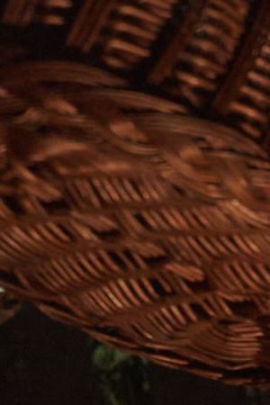 Susana Morales(“Úrsula”) in One Hundred Years of Solitude on Netflix