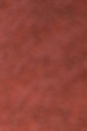 Portrait of grandmother and granddaughter embracing outdoors - stock photo