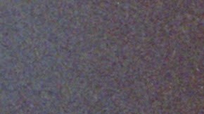 Selena Quintanilla. Selena Quintanilla appears in Selena y Los Dinos by Isabel Castro, an official selection of the 2025 Sundance Film Festival.