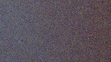 Selena Quintanilla. Selena Quintanilla appears in Selena y Los Dinos by Isabel Castro, an official selection of the 2025 Sundance Film Festival.