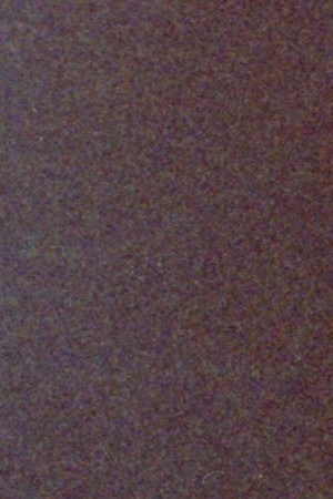 Selena Quintanilla. Selena Quintanilla appears in Selena y Los Dinos by Isabel Castro, an official selection of the 2025 Sundance Film Festival.