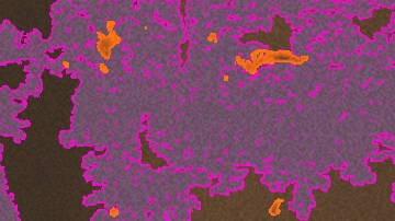 Standout athletes best of list for 2024