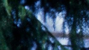 ‘El Burrito de Belén’