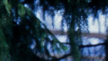 ‘El Burrito de Belén’