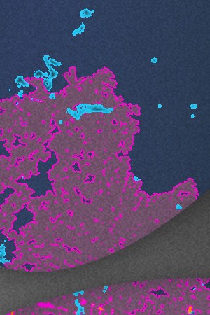 Karla Panini, Karol G, and Isiah Pacheco in viral moments of 2024 collage