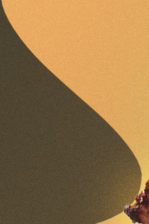 From Coquito to Chimichurri, These Were Latin Americans Top Recipe Searches of 2024