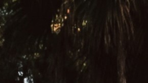 Tito Double P_'Ay Mamá Tour'