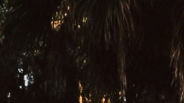 Tito Double P_'Ay Mamá Tour'