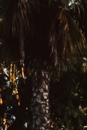 Tito Double P_'Ay Mamá Tour'